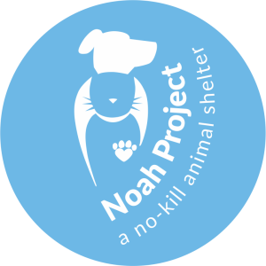 Sponsor Logo for Noah Project