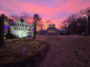 Sponsor Logo for Greenbush Veterinary Clinic