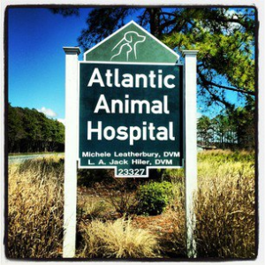 Sponsor Logo for Atlantic Animal Hospital