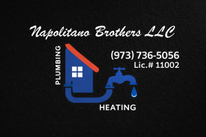 Sponsor Logo for Napolitano Brothers LLC