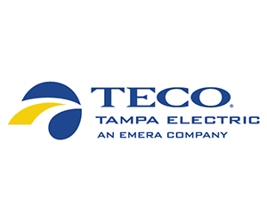 Sponsor Logo for TECO
