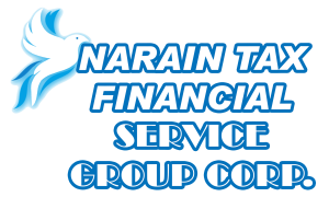 Sponsor Logo for Narain Finacial Services Group