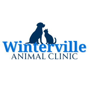 Sponsor Logo for Winterville Animal Clinic