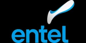 Sponsor Logo for entel