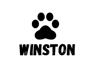 Sponsor Logo for Winston ( Robert Ortiz)