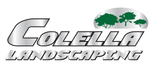Sponsor Logo for Tony Colella Landscaping