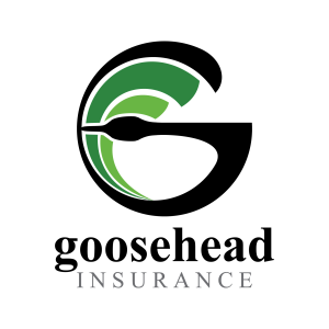Sponsor Logo for Goosehead Insurance