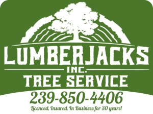 Sponsor Logo for Lumberjacks Tree Service