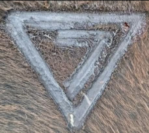 Sponsor Logo for 7 Triangle Ranch