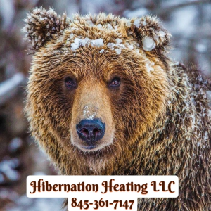 Sponsor Logo for Hibernation Heating LLC