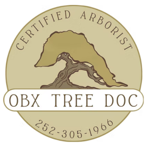 Logo for OBX Tree Doc