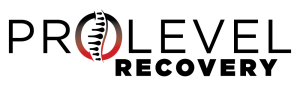 Sponsor Logo for ProLevel Recovery
