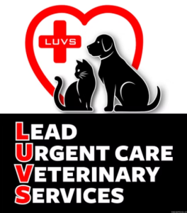 Sponsor Logo for Lead Urgent Care Veterinary Services