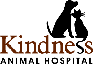 Sponsor Logo for Kindness Animal Hospital