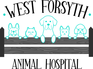 Sponsor Logo for West Forsyth Animal Hospital