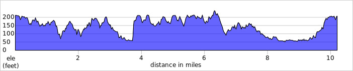 FXBG Trail 10 Miler, photo 4 of 5