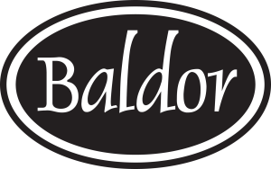 Sponsor Logo for Baldor
