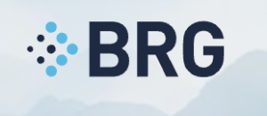 Sponsor Logo for Berkeley Research Group