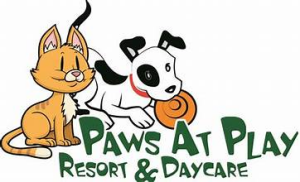 Sponsor Logo for Molly's Mission