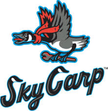Sponsor Logo for Beloit Sky Carp