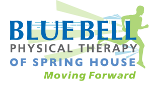 Sponsor Logo for Blue Bell Physical Therapy of Springhouse