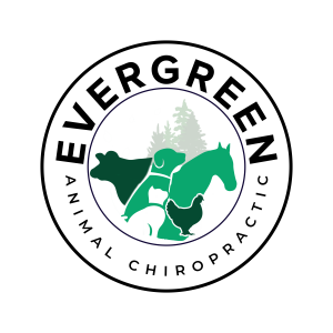 Sponsor Logo for Evergreen Animal