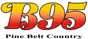 Sponsor Logo for B95