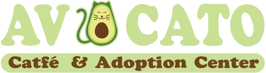 Sponsor Offer Image