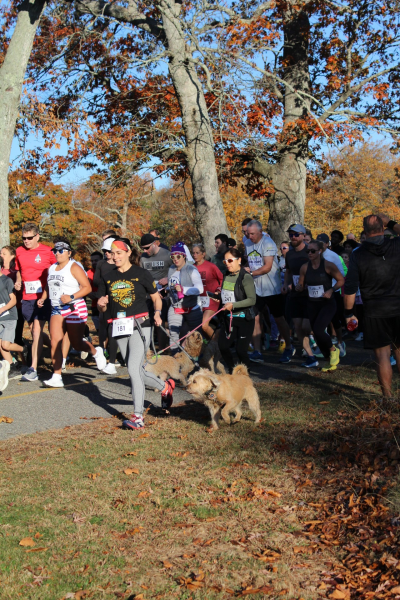 Paws for Freedom 5k Run & Walk, photo 7 of 8