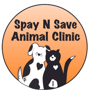 Logo for Spay n Save