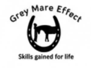 Logo for Grey Mare Effect