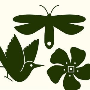Logo for The Kent Collection