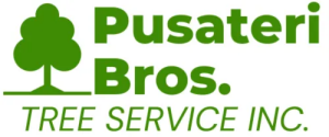 Sponsor Logo for Pusateri Brothers Tree & Landscaping Service