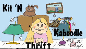 Sponsors Logo for Kit 'N Kaboodle Thrift
