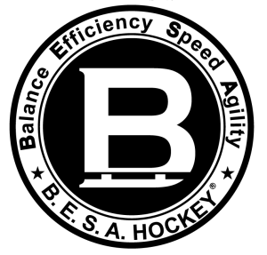 Sponsor Logo for B.E.S.A. Hockey