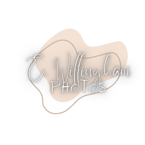 Sponsor Logo for E. Willingham Photos