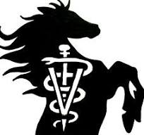 Sponsor Logo for San Pedro Veterinary Services