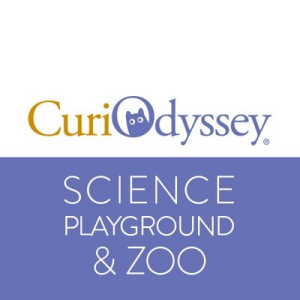 Logo for curiodyssey