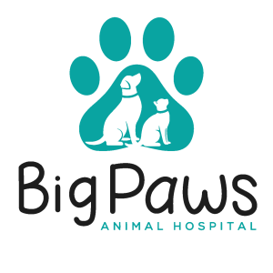 Sponsor Logo for Big Paws Animal Hospital