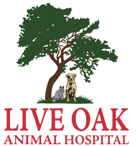 Sponsor Logo for Live Oak Animal Hospital