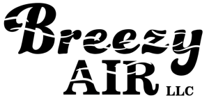 Logo for Breezy Air