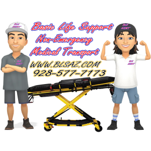 Logo for BLS