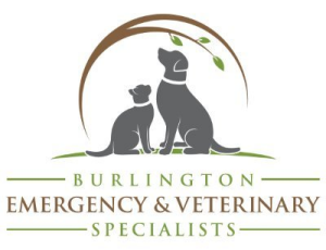 Sponsor Logo for Burlington Emergency & Veterinary Specialists