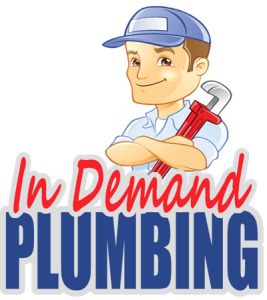Logo for In Demand Plumbing