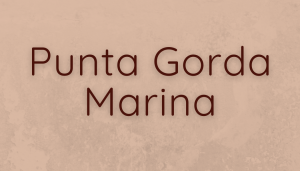 Sponsor Logo for Punta Gorda Marina