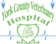 Sponsor Logo for York County Veterinary Hospital