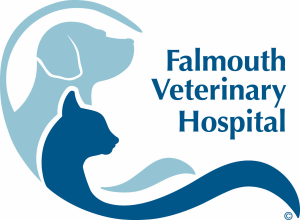 Sponsor Logo for Falmouth Veterinary Hospital