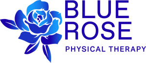 Sponsor Logo for Blue Rose Physical Therapy