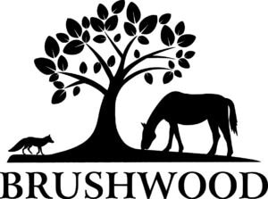 Sponsor Logo for Brushwood Stables
