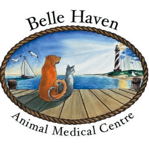 Sponsor Logo for Belle Haven Animal Medical Center